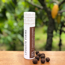Hawaiian Chocolate Covered Macadamia Nuts