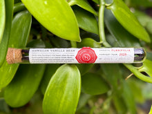 Hawaiian Vanilla Beans (3 bean tube)