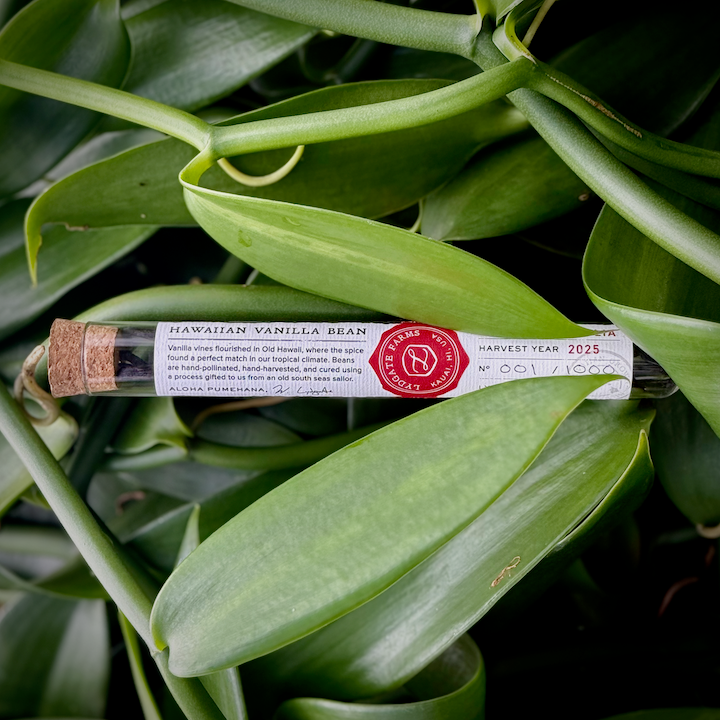 Hawaiian Vanilla Beans (3 bean tube)