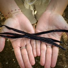 Hawaiian Vanilla Beans (3 bean tube)