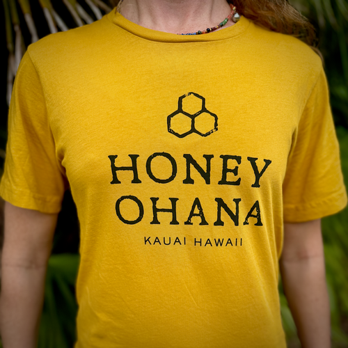 Men's/Unisex T-Shirts (Honey)