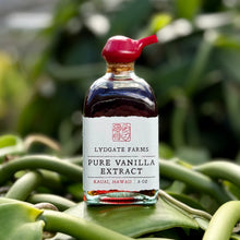 Hawaiian Grown Pure Vanilla Extract