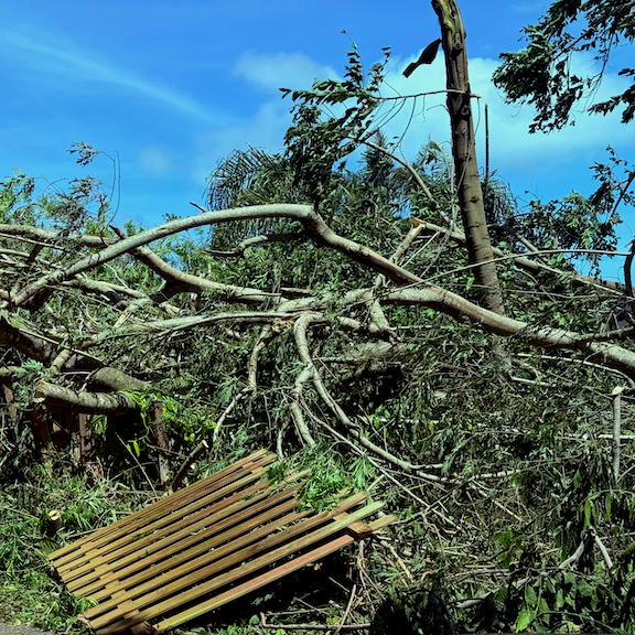 Hurricane Lowell Support