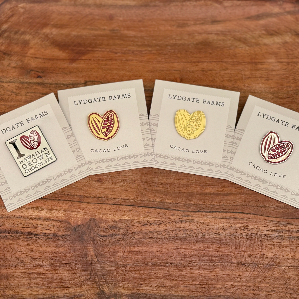 Cacao Pod Pin - satin gold – Lydgate Farms