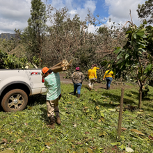 Hurricane Lowell Support