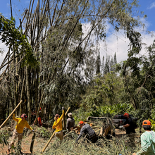 Hurricane Lowell Support