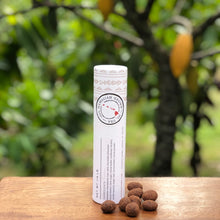Hawaiian Chocolate Covered Macadamia Nuts